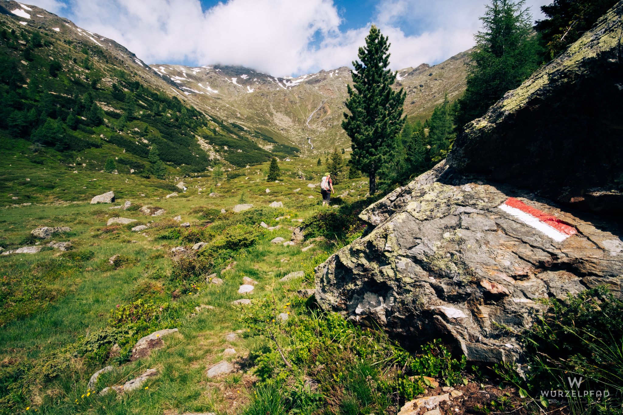 Auf der Schafbergalm